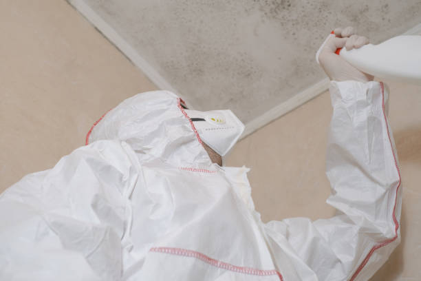 Best Certified Mold Removal  in Catlin, IL