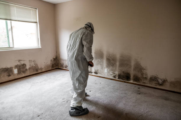 Best Mold Testing  in Catlin, IL